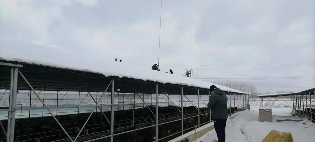 304am永利集团官网(中国)有限公司-Official Website