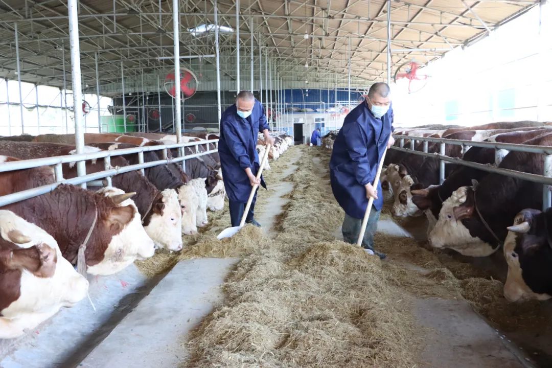 304am永利集团官网(中国)有限公司-Official Website