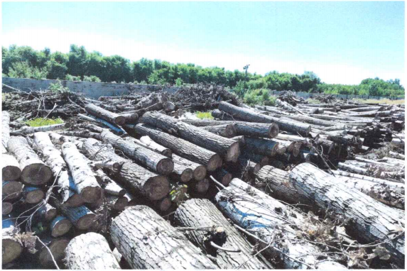 304am永利集团官网(中国)有限公司-Official Website