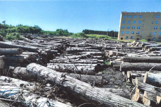 304am永利集团官网(中国)有限公司-Official Website