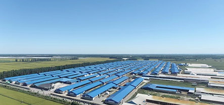 304am永利集团官网(中国)有限公司-Official Website