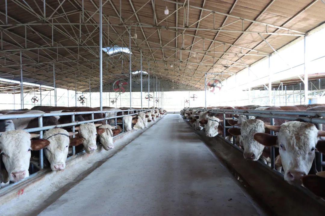 304am永利集团官网(中国)有限公司-Official Website