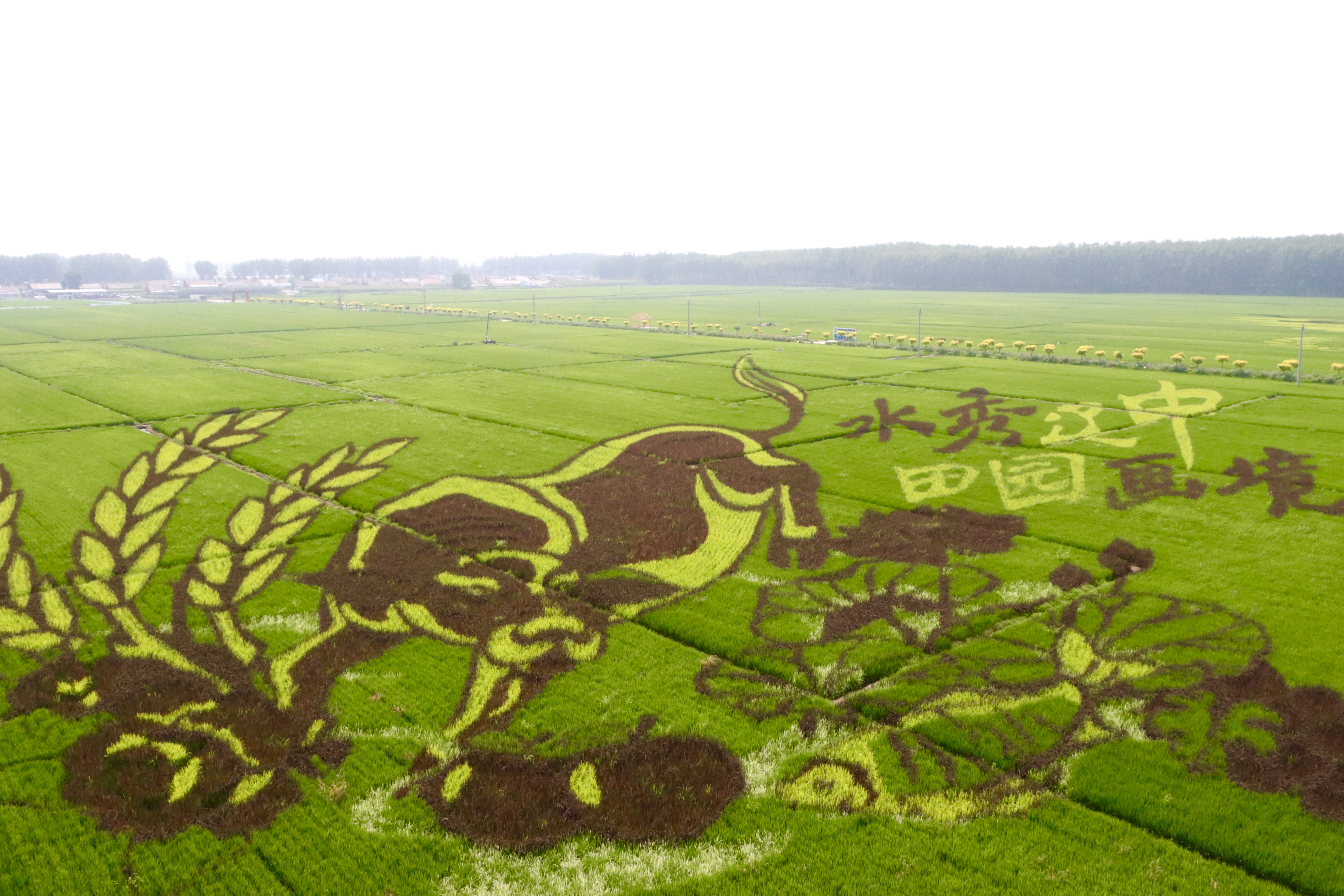 304am永利集团官网(中国)有限公司-Official Website